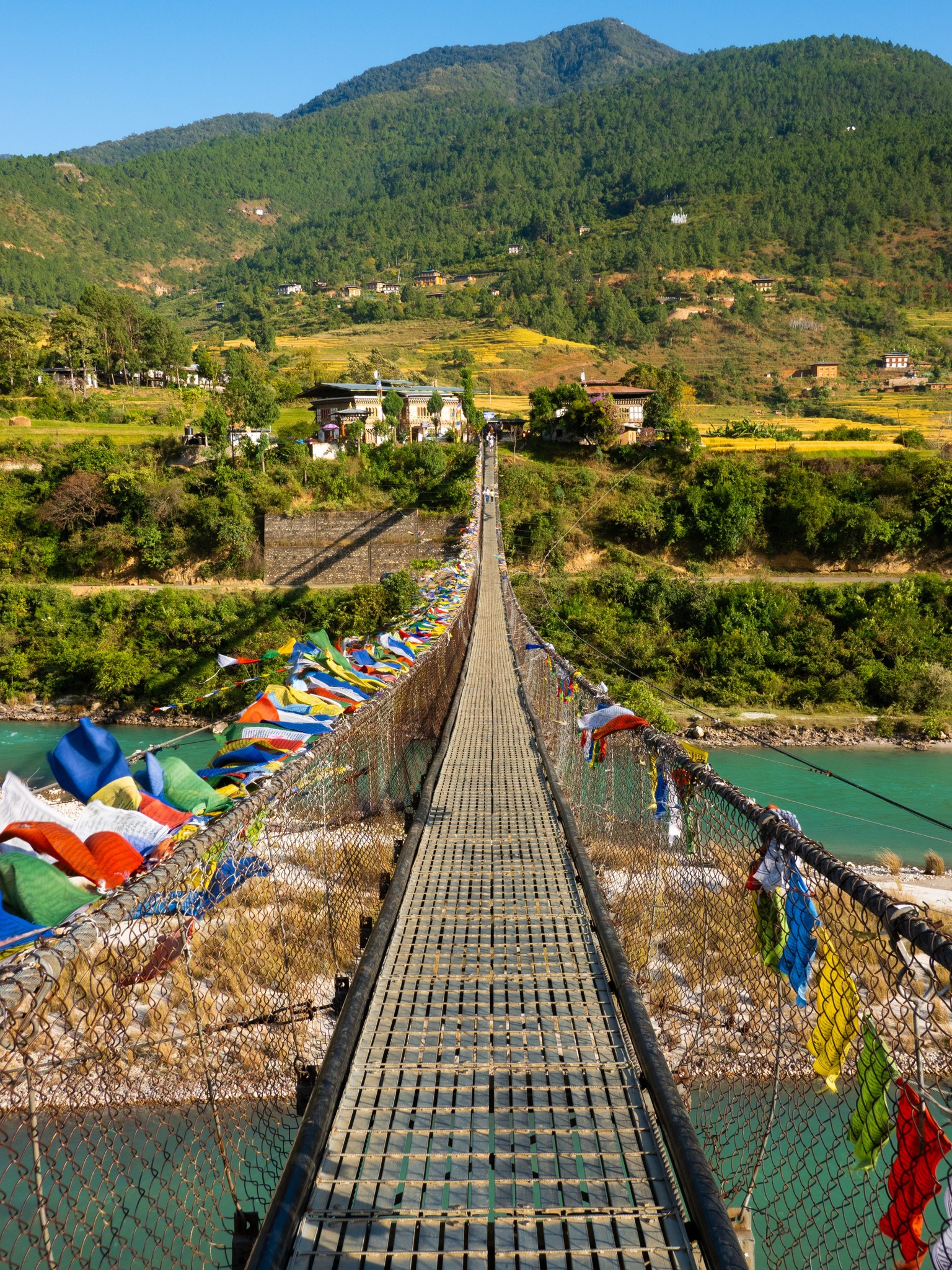 Suspension Bridge